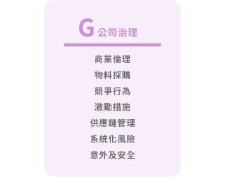 G 公司治理